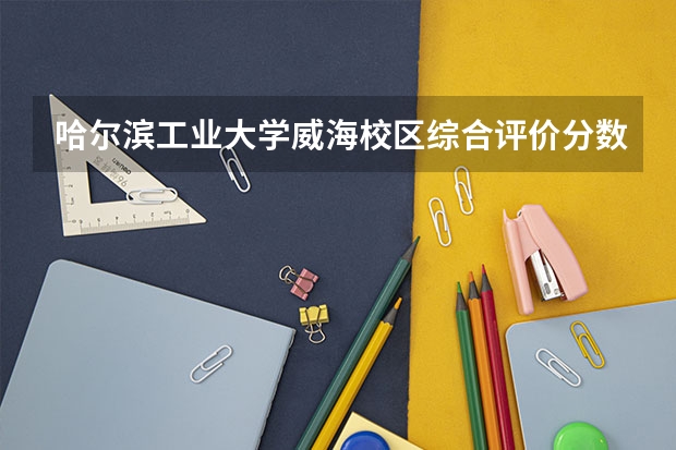 哈尔滨工业大学威海校区综合评价分数线(上海市综合评价分数线)