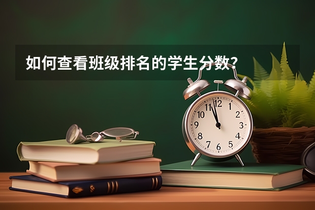 如何查看班级排名的学生分数？