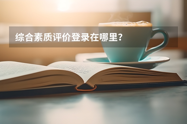 综合素质评价登录在哪里？