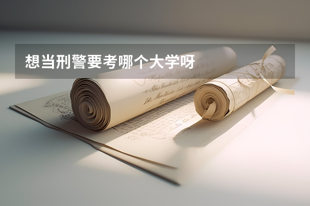 想当刑警要考哪个大学呀
