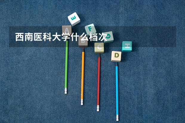 西南医科大学什么档次