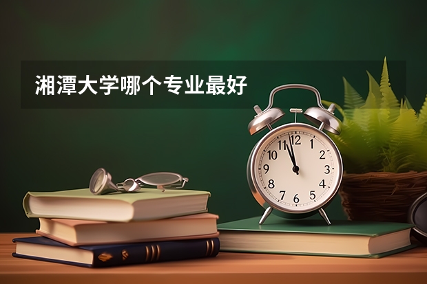 湘潭大学哪个专业最好