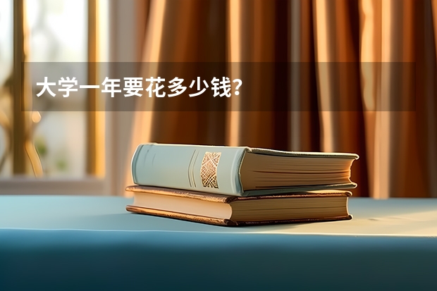 大学一年要花多少钱？