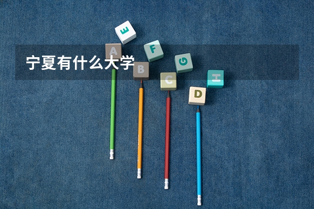 宁夏有什么大学