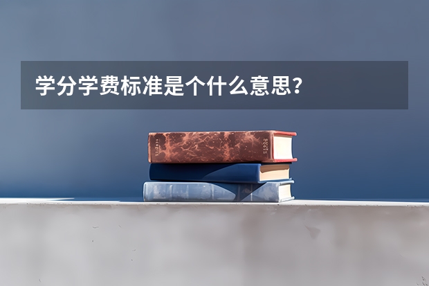 学分学费标准是个什么意思？