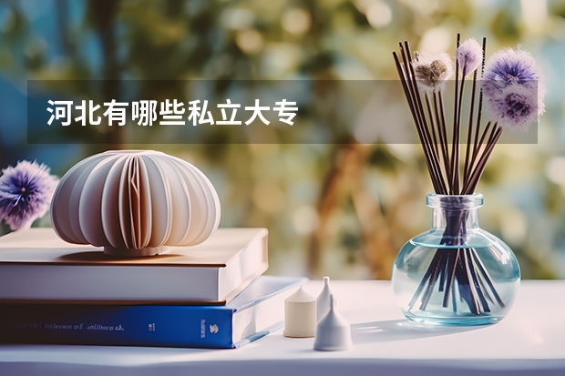 河北有哪些私立大专