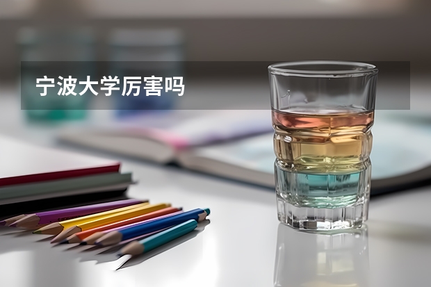 宁波大学厉害吗
