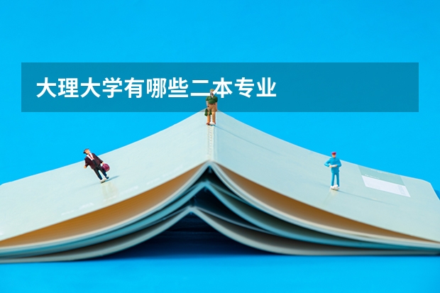 大理大学有哪些二本专业