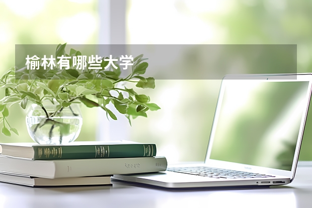 榆林有哪些大学