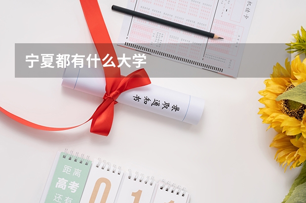 宁夏都有什么大学