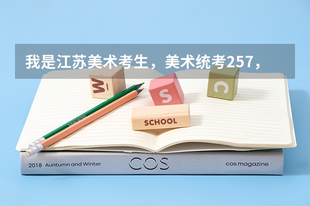我是江苏美术考生,美术统考257,文化分264,省内能上哪些学校?