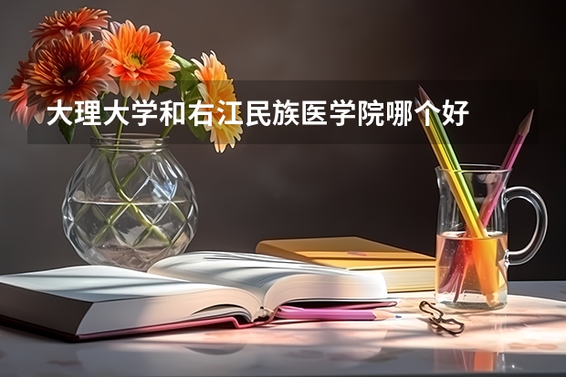 大理大学和右江民族医学院哪个好
