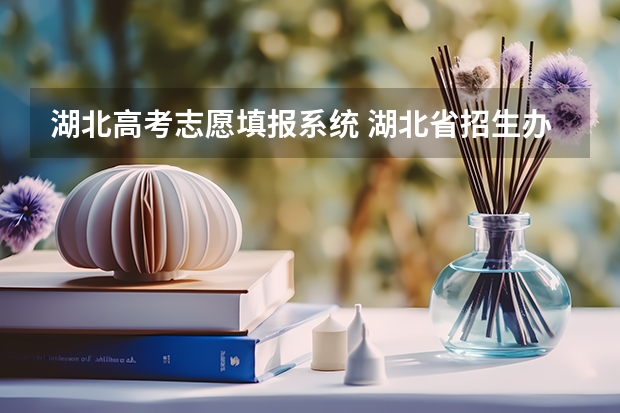 湖北高考志愿填报系统 湖北省招生办官网