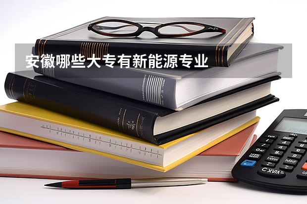 安徽哪些大专有新能源专业