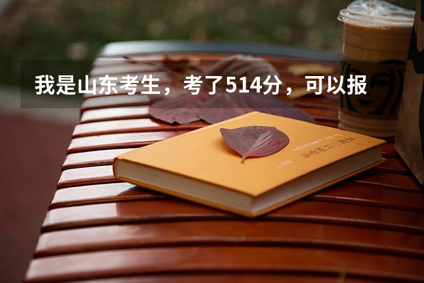 我是山东考生,考了514分,可以报省内的哪些大学啊?