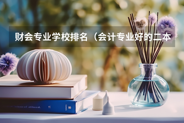 财会专业学校排名（会计专业好的二本大学）