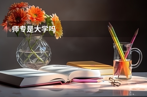师专是大学吗
