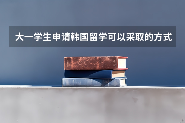 大一学生申请韩国留学可以采取的方式（韩国留学 留学语言学校申请及入学时间常识）