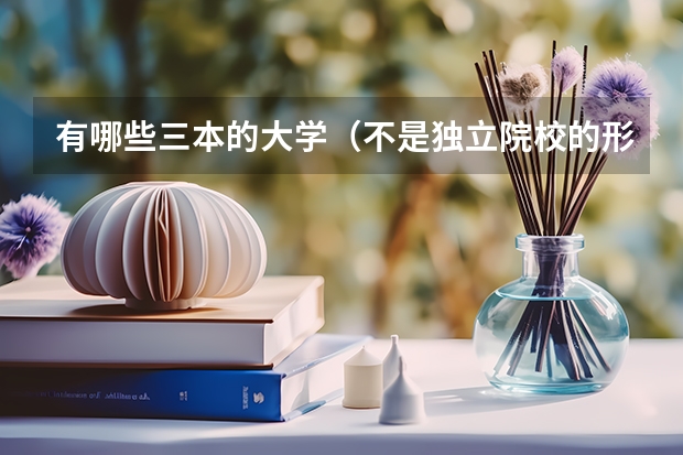 有哪些三本的大学(不是独立院校的形式)