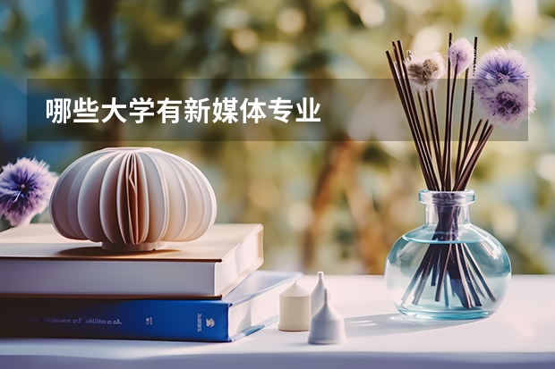 哪些大学有新媒体专业