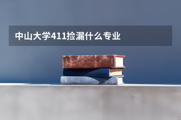 中山大学411捡漏什么专业