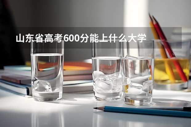 山东省高考600分能上什么大学