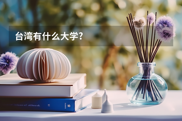台湾有什么大学?