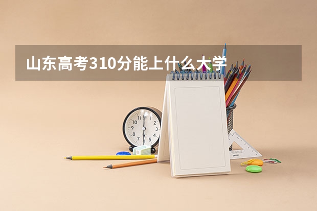 山东高考310分能上什么大学