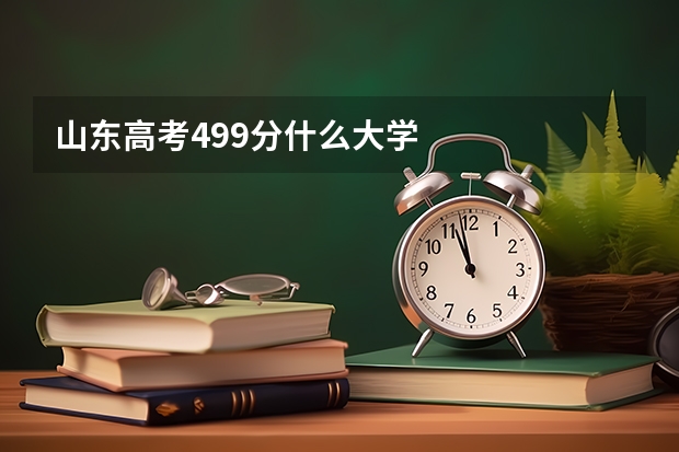 山东高考499分什么大学