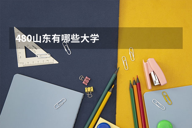 480山东有哪些大学