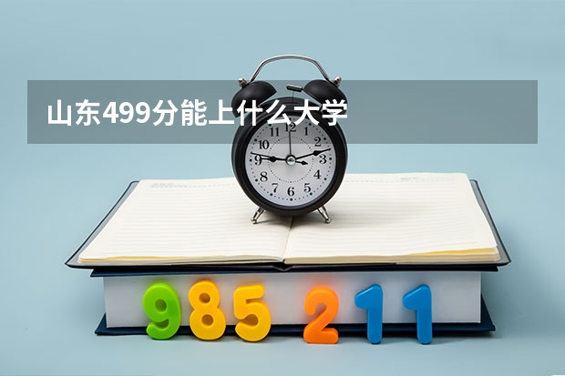 山东499分能上什么大学