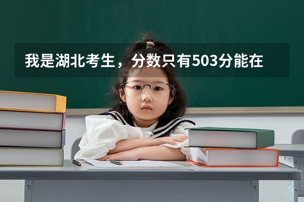 我是湖北考生，分数只有503分能在湖北省上二本（二）的院校吗
