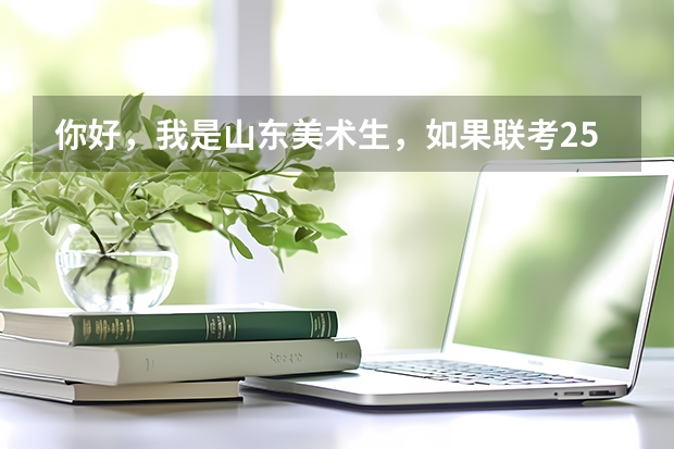 你好，我是山东美术生，如果联考250文化400能上什么大学？