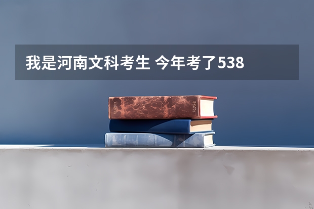 我是河南文科考生 今年考了538  能不能上河师大啊（河南各高校投档线）