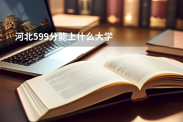河北599分能上什么大学