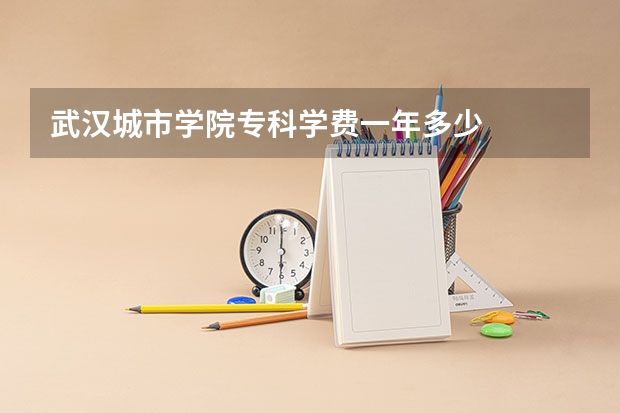 武汉城市学院专科学费一年多少