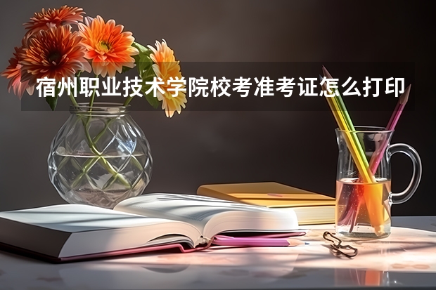 宿州职业技术学院校考准考证怎么打印