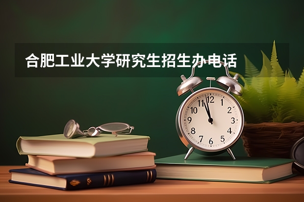 合肥工业大学研究生招生办电话