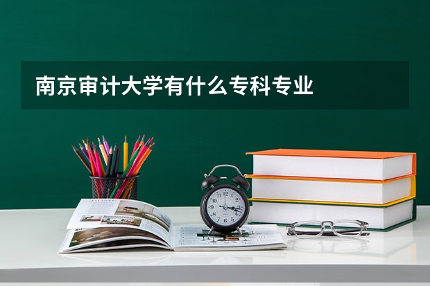 南京审计大学有什么专科专业