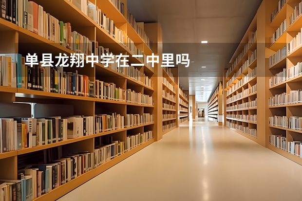 单县龙翔中学在二中里吗