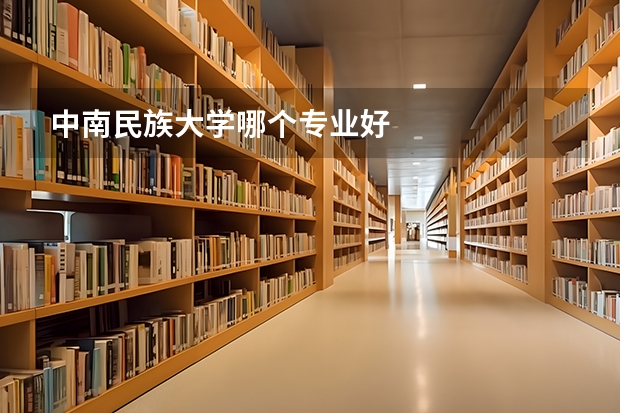 中南民族大学哪个专业好