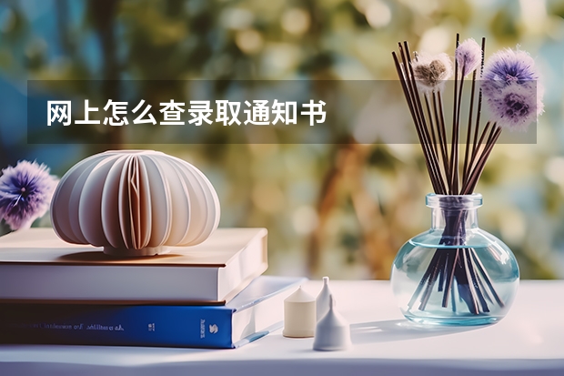 网上怎么查录取通知书