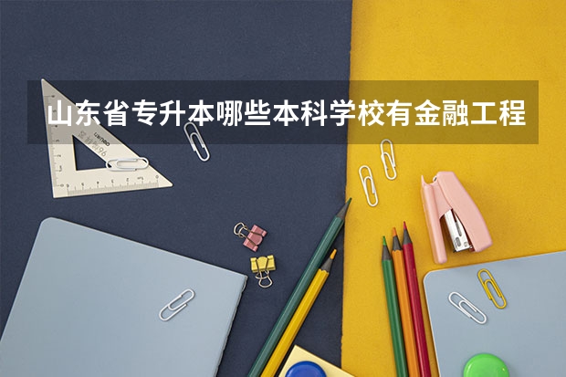 山东省专升本哪些本科学校有金融工程专业?