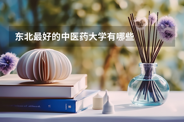 东北最好的中医药大学有哪些