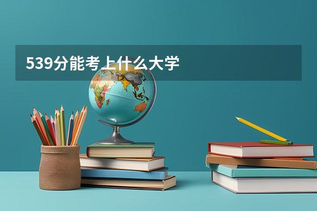 539分能考上什么大学