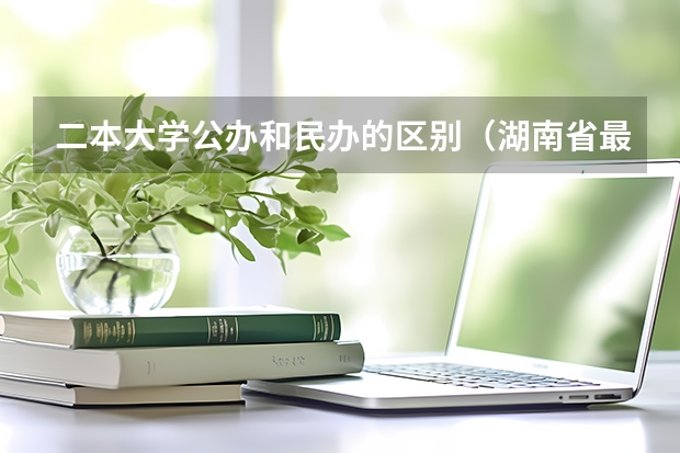 二本大学公办和民办的区别（湖南省最便宜的民办二本）