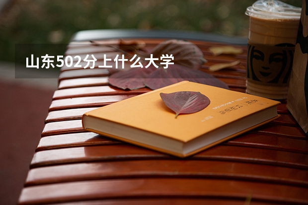 山东502分上什么大学