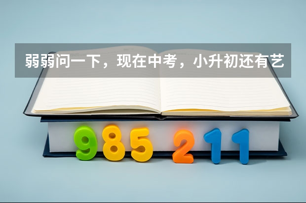 弱弱问一下,现在中考,小升初还有艺术特长加分一说吗