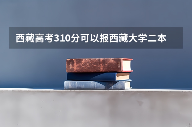西藏高考310分可以报西藏大学二本吗