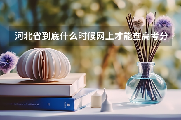 河北省到底什么时候网上才能查高考分数?